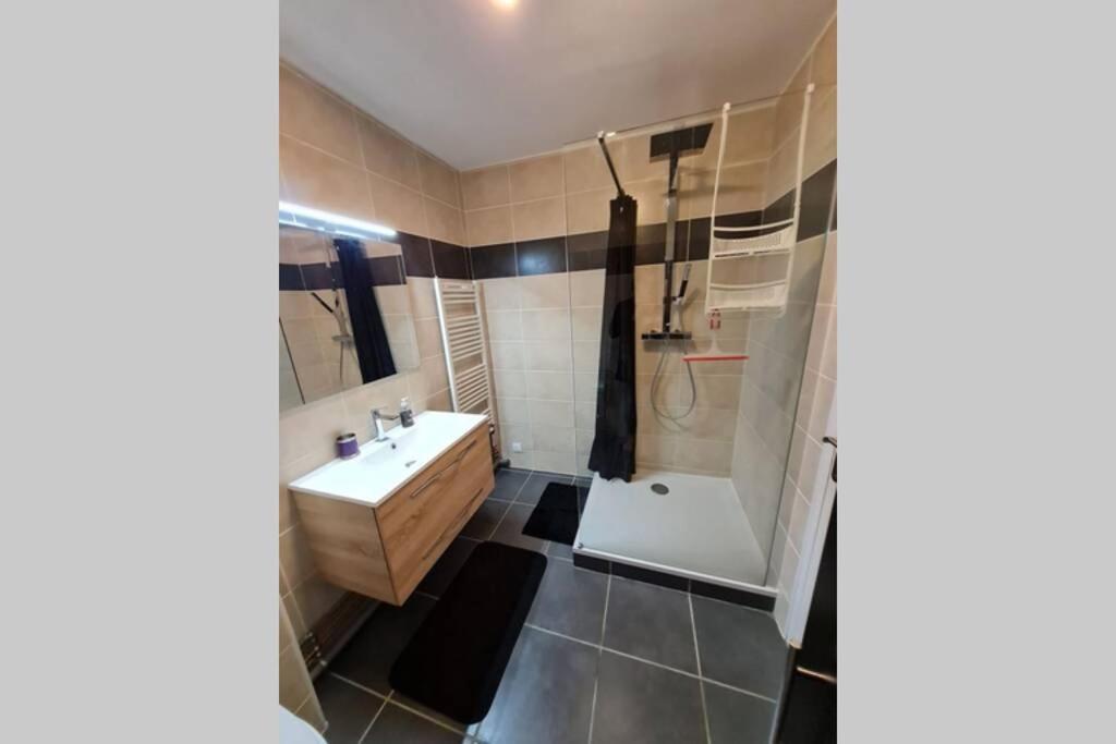 Chez Romain, Appartement Proche Commerces Et Centre Ville Avec Wifi ヴェルダン・シュル・ムーズ エクステリア 写真