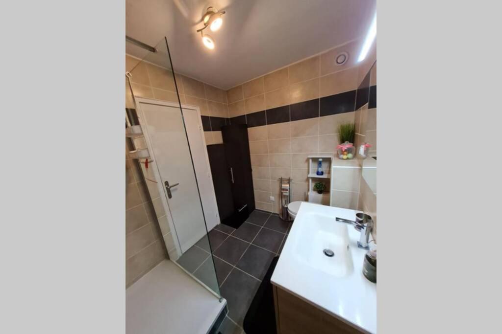 Chez Romain, Appartement Proche Commerces Et Centre Ville Avec Wifi ヴェルダン・シュル・ムーズ エクステリア 写真